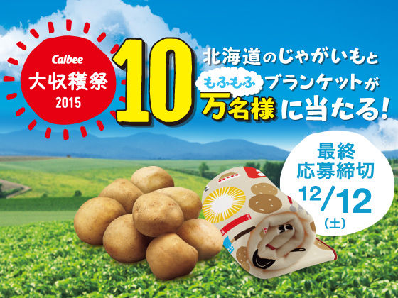 北海道の新じゃが収穫の季節。Calbee大収穫祭2015、開催中！