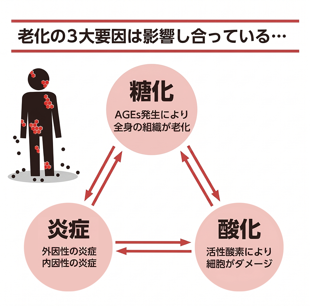 2B2A0692.jpg